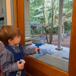 Callan WindowWashing
