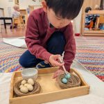 Emrys EggSorting