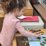 Harper.Puzzle