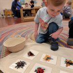 Hugo InsectMatching