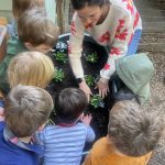 Theresa PlantingFlowers