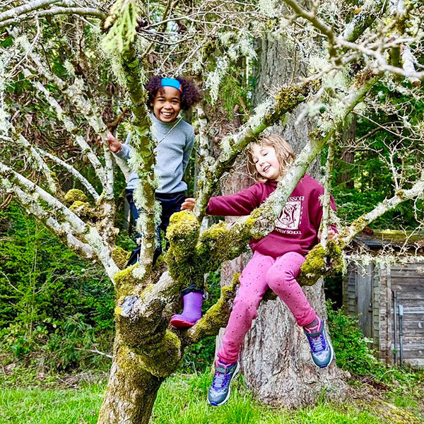 Two elementary-aged students climbing a tree
