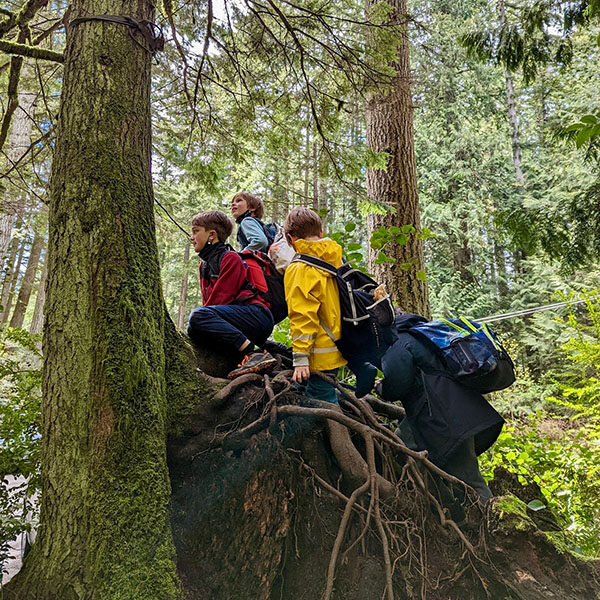 Elementary school students exploring in the woods